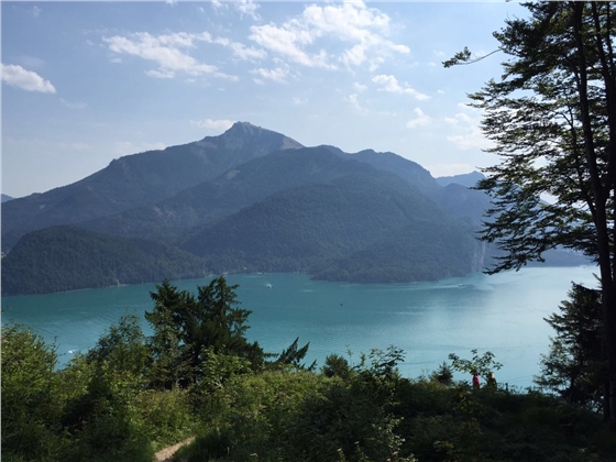 余教授奧地利鄉村行：萬科為什么說把奧地利小鎮搬回來？