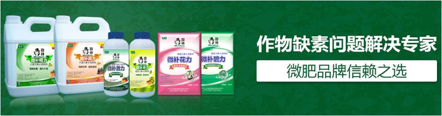 #微肥課堂#為什么葉面肥養分含量相同，效果卻不同？