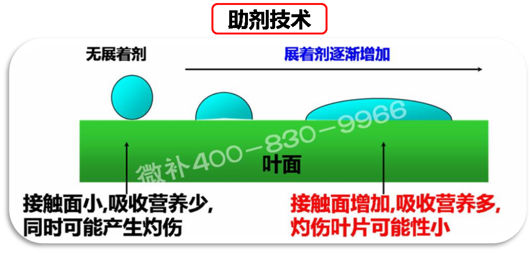 余教授德國鄉村行：我在德國為什么不會點啤酒了？