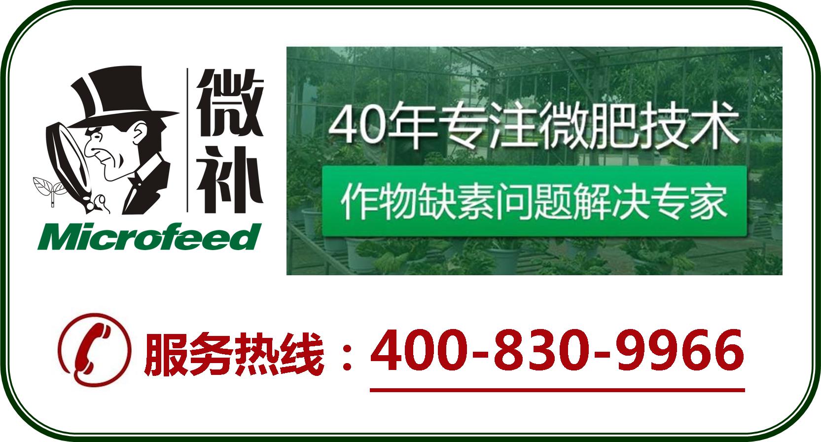 余教授德國鄉村行：摩澤爾河的葡萄魅力在哪兒？