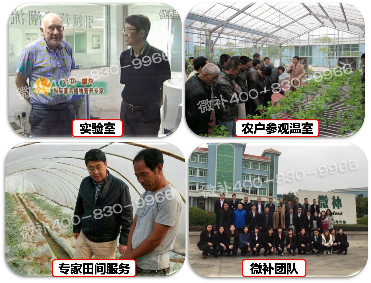余教授奧地利維也納行：不懂音樂的農民教授，在音樂之都的感受