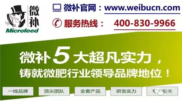 余教授奧地利維也納行：不懂音樂的農民教授，在音樂之都的感受