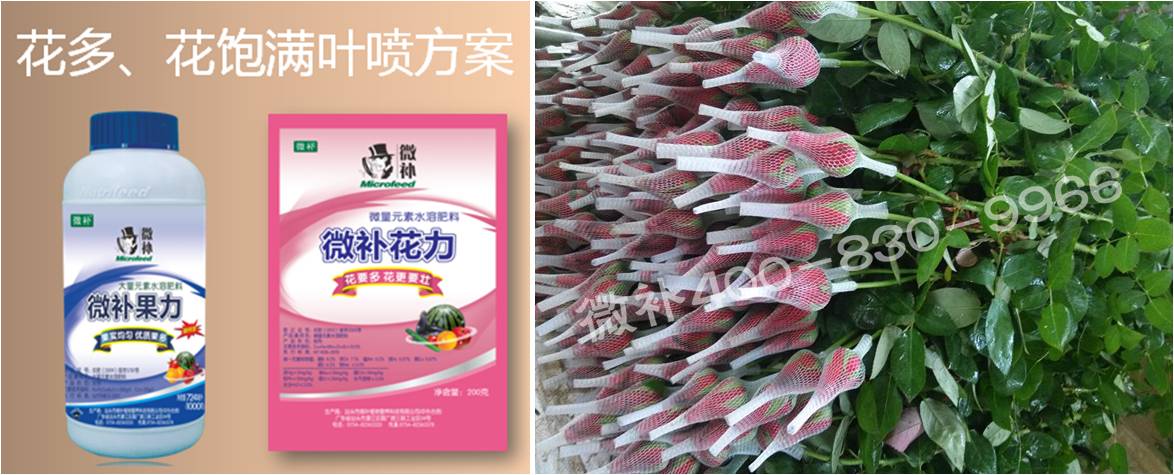 花卉也需要微補嗎？
