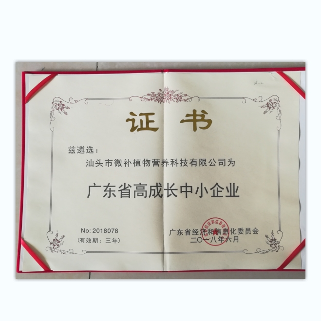 廣東省高成長中小企業