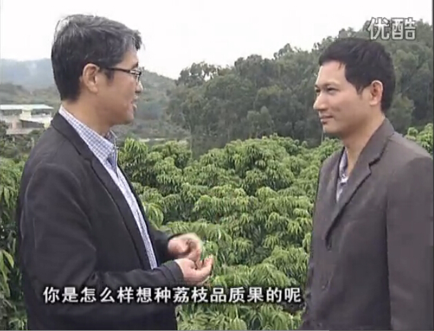 20160104珠江臺搖錢樹：補充所需微補營養，種出品質荔枝，提高收益賣價！