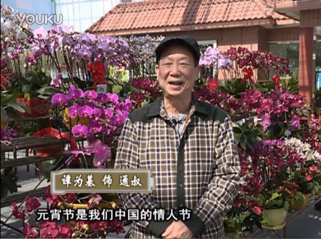 20160222珠江臺搖錢樹：用綠夫人營養液，簡單種花都能養得靚