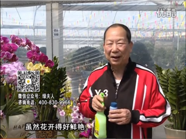 20160314珠江臺搖錢樹：家種鮮花、鮮切花，用綠夫人600度鮮花液?；ㄆG、花期長