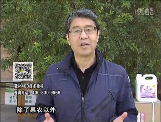 20160321珠江臺搖錢樹：柑橘用微補方案，百萬收入不是夢