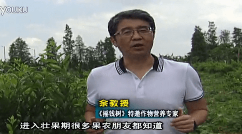 20160620珠江臺搖錢樹：柑橘淋微補調力、噴蓋力+壯力，調酸壯長勢、膨果防裂好