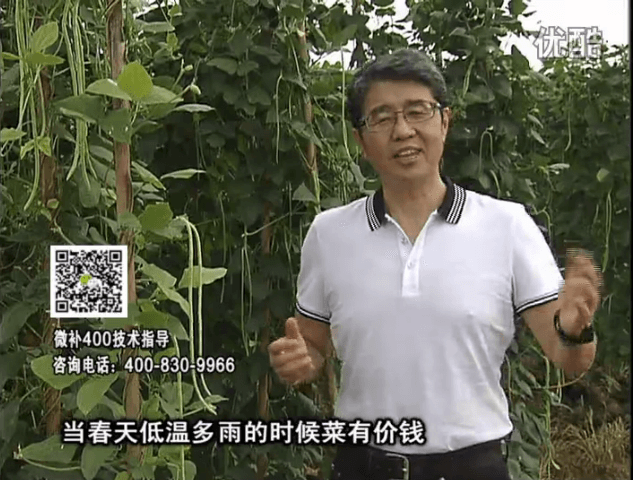 20160704珠江臺搖錢樹：蔬菜用微補方案，省肥藥又保產