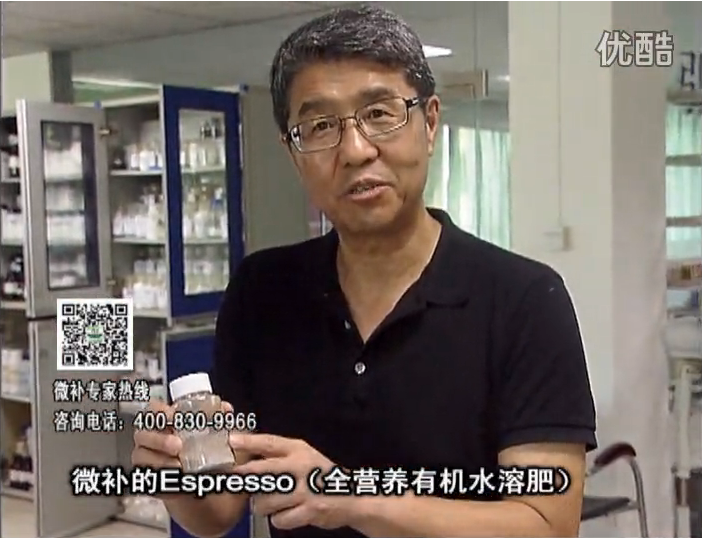 20160822珠江臺搖錢樹：柑橘秋梢淋沖因迪樂精華粉，補充有機營養，健壯果樹