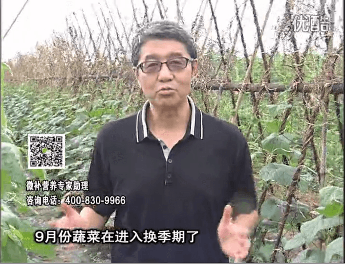 20160926珠江臺搖錢樹：換季蔬菜淋根力鈣精力促根壯長，淋微補調力調酸減少病害