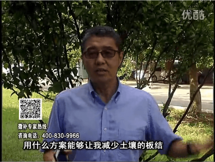 20161031珠江臺搖錢樹：減少化肥使用量、土壤少板結有辦法