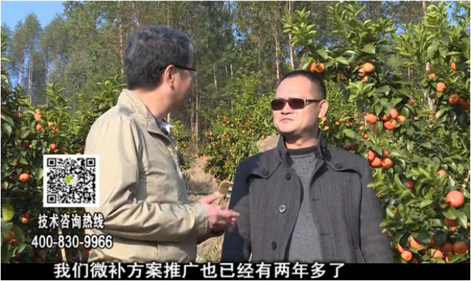 20180122珠江臺搖錢樹：廣西柑橘如何管？產量賣相好?