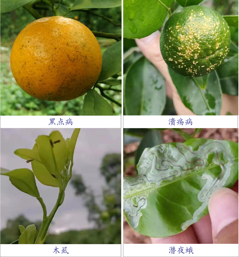 圖片3
