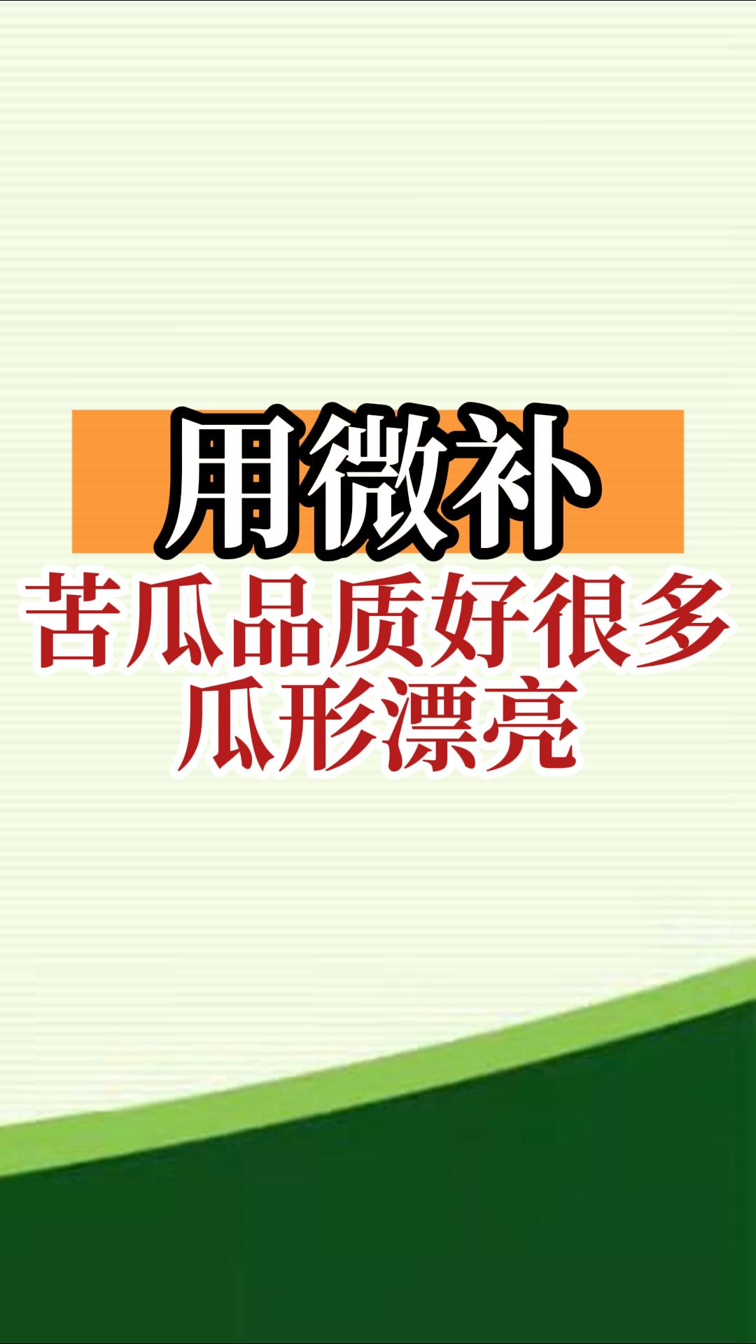 用微補，苦瓜品質好很多，瓜形漂亮