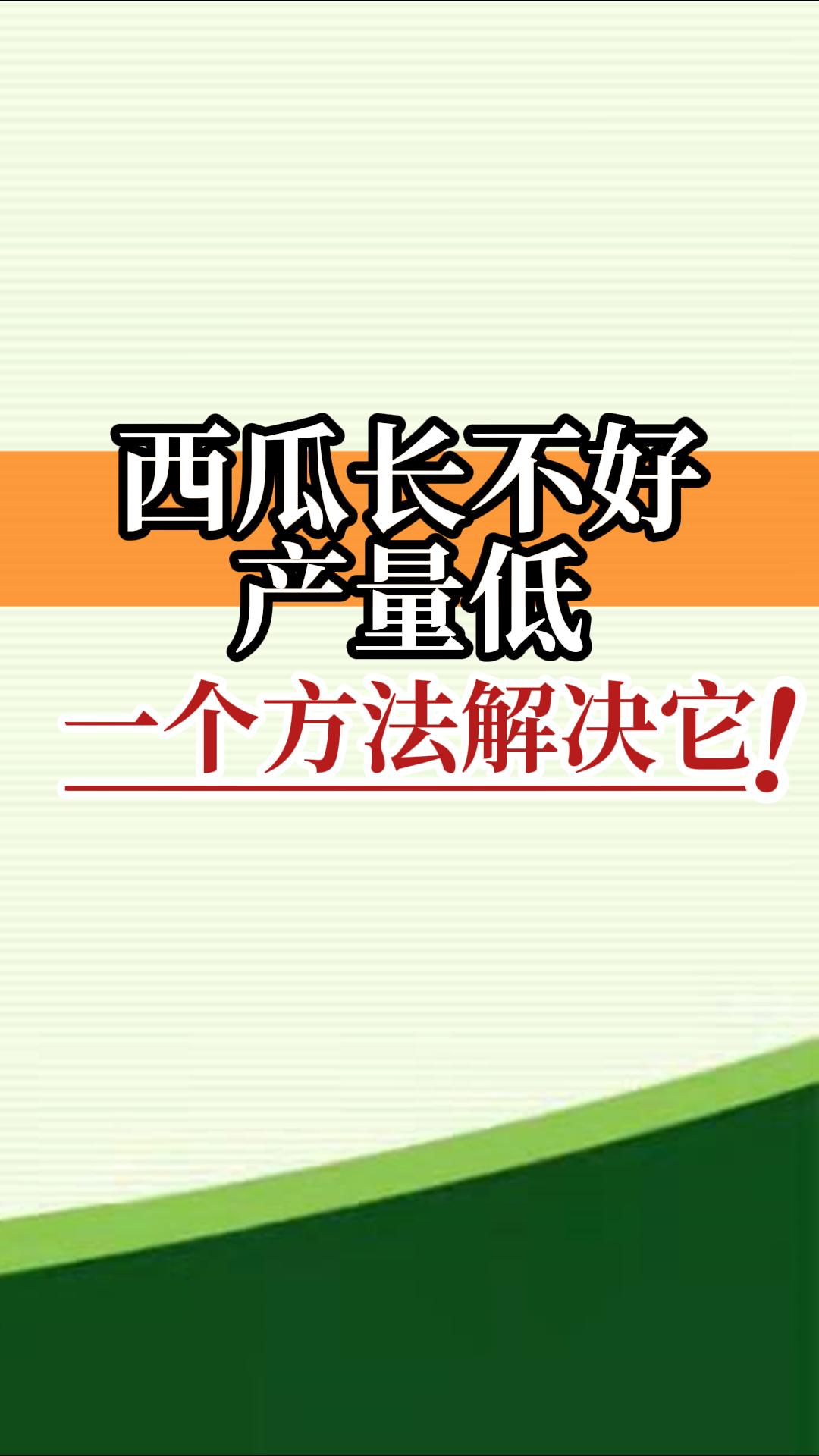 西瓜長不好產量低？