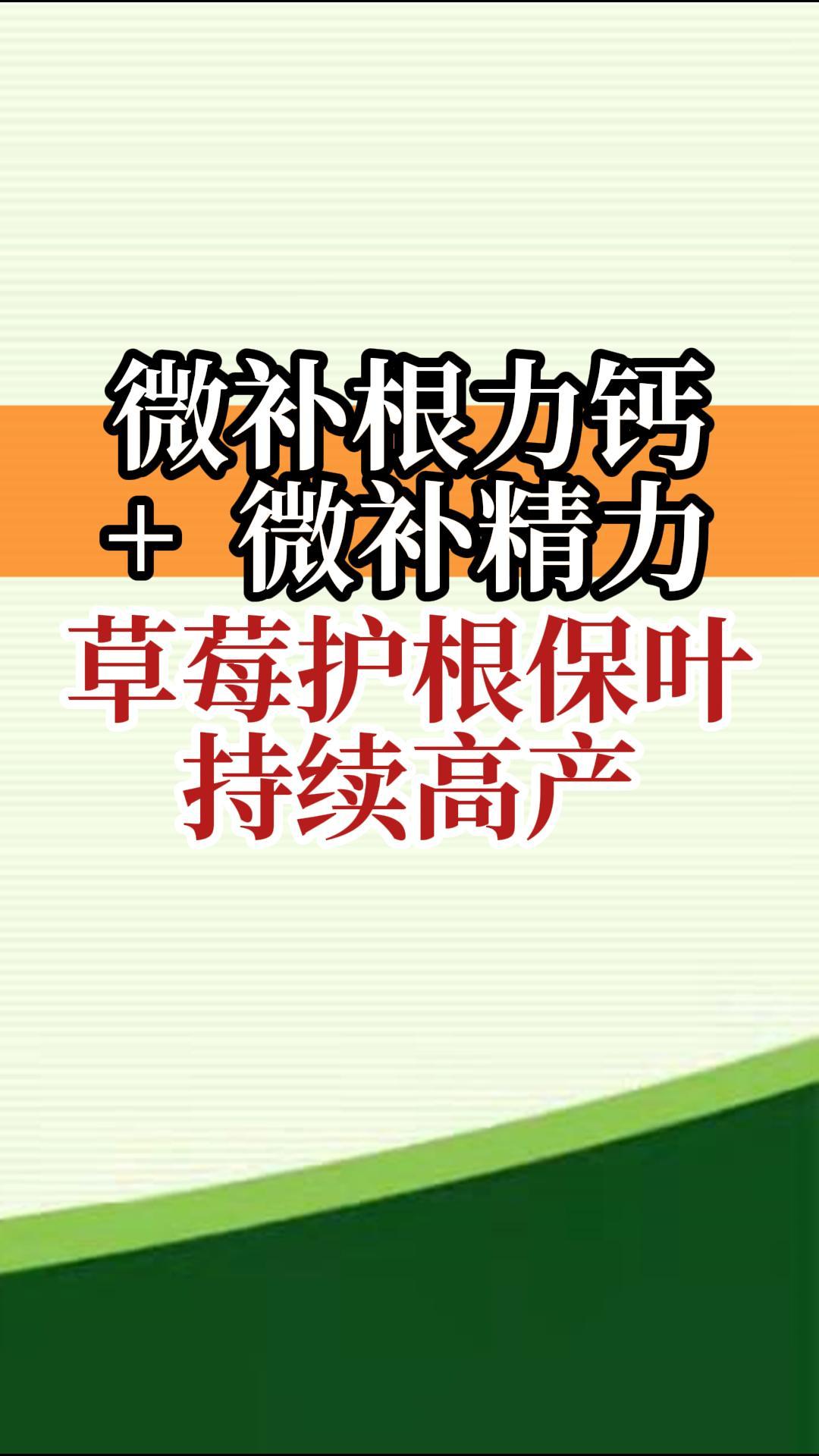 微補根力鈣+微補精力 草莓護根保葉 持續高產