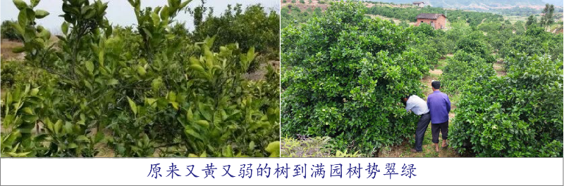 圖片2