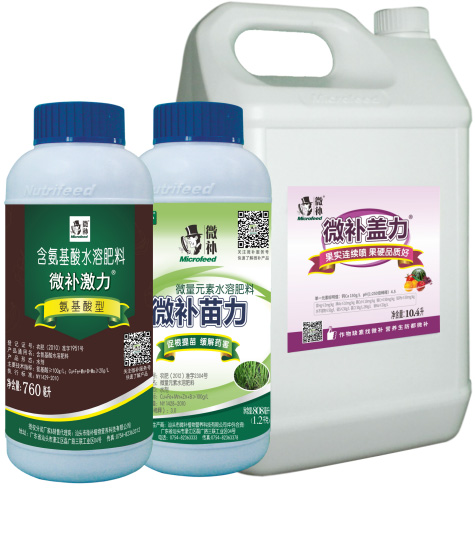 讓作物安全過冬的實用小妙招，速看