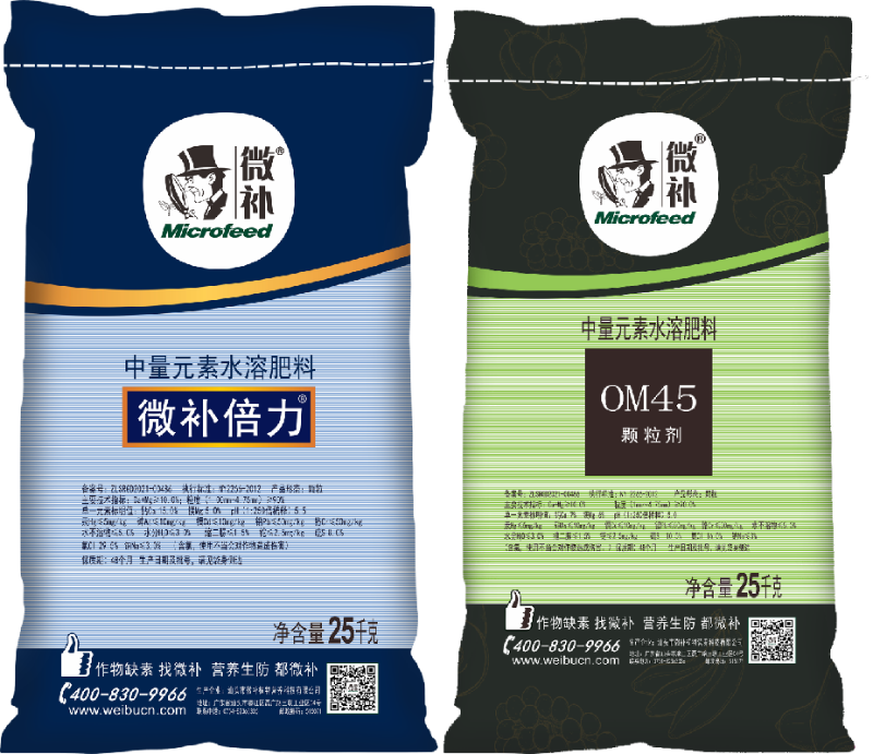 圖片2