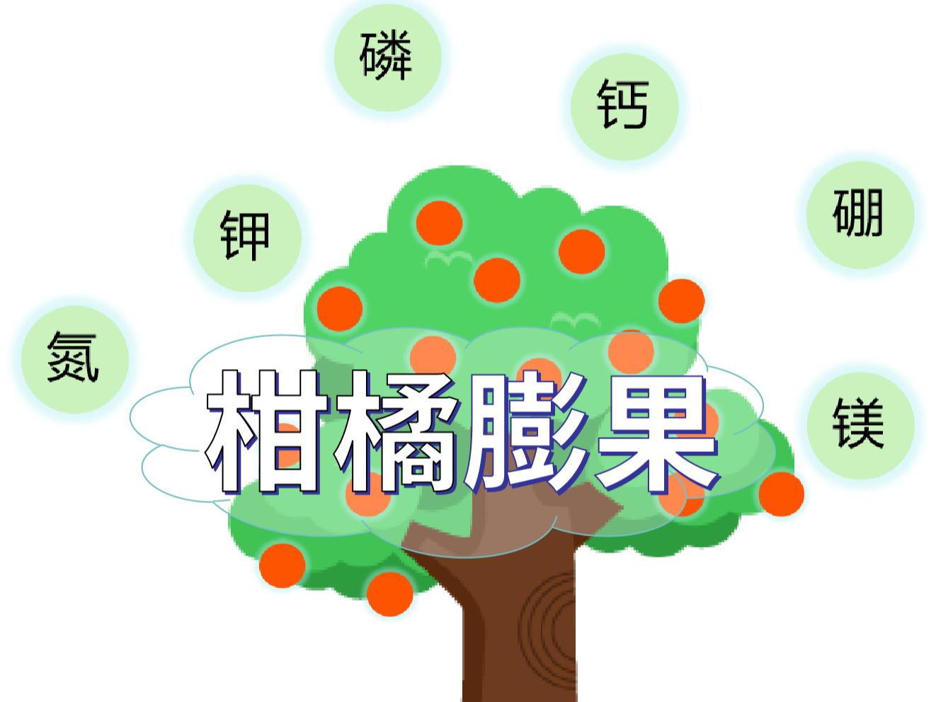 柑橘膨果慢？找準原因，“對癥下藥”