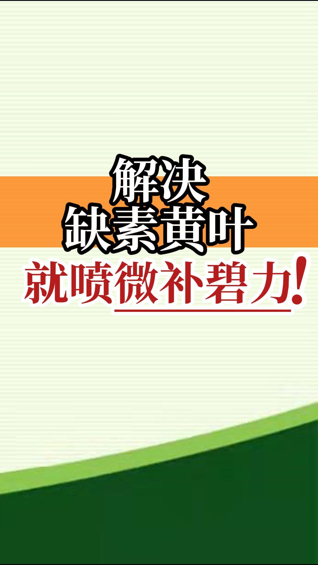 解決缺素黃葉就噴微補碧力！