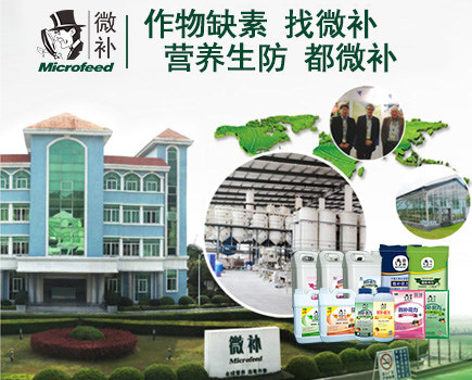 微補研發中心