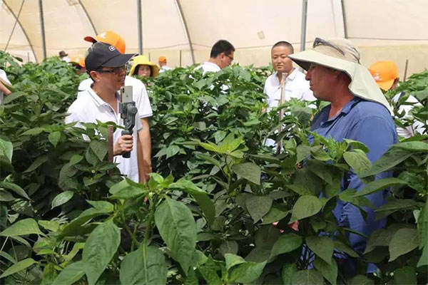 深度思考：我們到底應該向以色列農業學習什么？